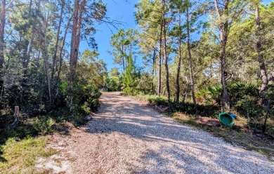 Beach Acreage For Sale in Carabelle, Florida