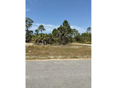 Beach Lot For Sale in Cape San Blas, Florida