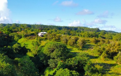 Beach Acreage For Sale in Hilo, Hawaii