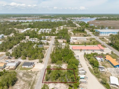 Beach Lot For Sale in Carabelle, Florida