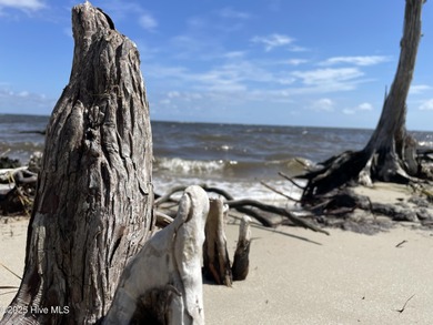 Beach Acreage For Sale in Beaufort, North Carolina