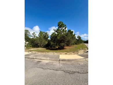 Beach Lot For Sale in Carabelle, Florida