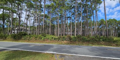 Beach Lot For Sale in Carabelle, Florida