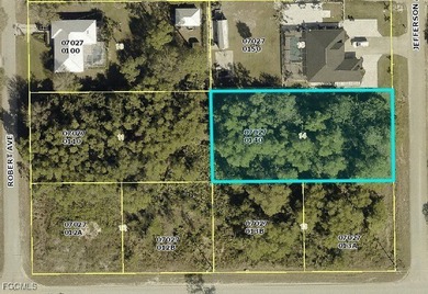 Beach Lot For Sale in Lehigh Acres, Florida