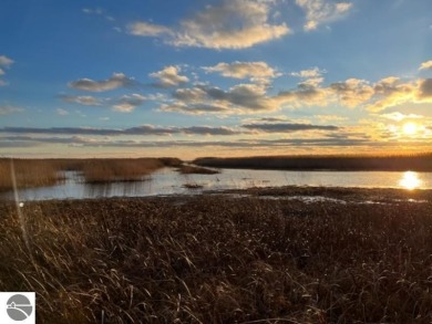 Beach Lot For Sale in Au Gres, Michigan