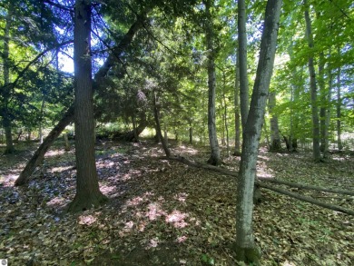 Beach Lot For Sale in Cedar, Michigan