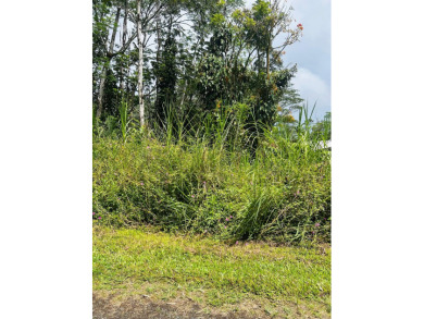 Beach Lot For Sale in Pahoa, Hawaii