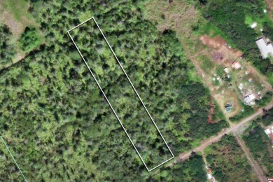 Beach Acreage For Sale in Keaau, Hawaii