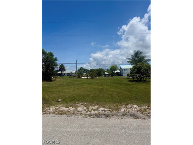 Beach Lot For Sale in St. James City, Florida