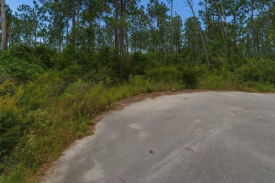 Beach Lot For Sale in Wewahitchka, Florida