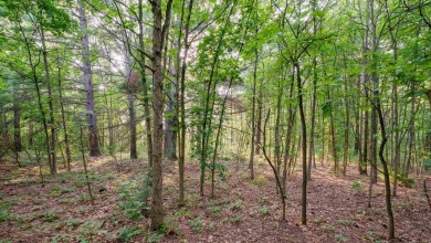 Beach Acreage Sale Pending in West Olive, Michigan