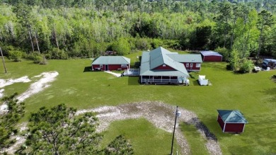 Beach Home For Sale in Wewahitchka, Florida