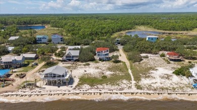 Beach Home For Sale in Alligator Point, Florida