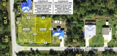 Beach Lot For Sale in Port Charlotte, Florida