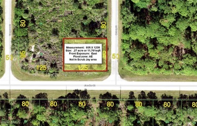 Beach Lot For Sale in Port Charlotte, Florida