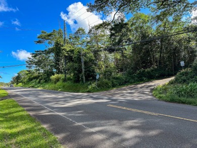 Beach Acreage For Sale in Pahoa, Hawaii