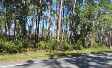 Beach Lot For Sale in Carabelle, Florida