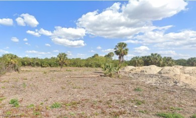 Beach Lot For Sale in Lehigh Acres, Florida