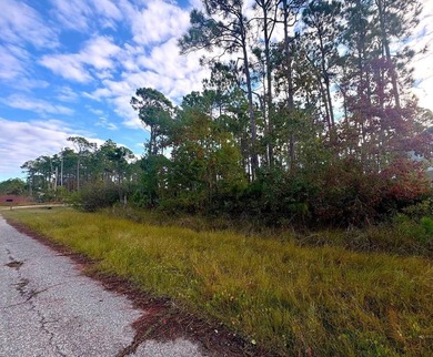 Beach Lot For Sale in Port St Joe, Florida