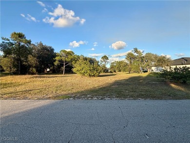 Beach Lot For Sale in Lehigh Acres, Florida