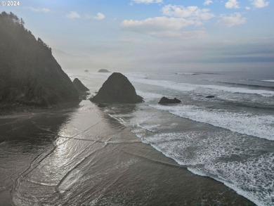 Beach Lot For Sale in Arch Cape, Oregon