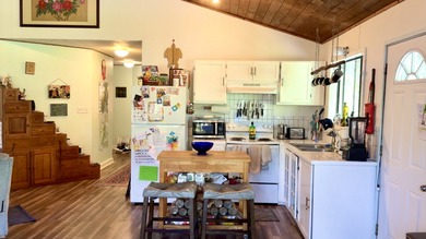 Beach Home For Sale in Pahoa, Hawaii