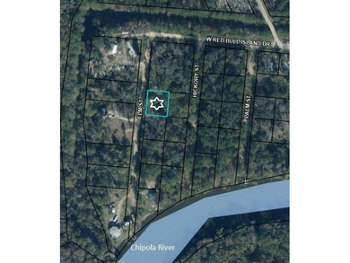 Beach Lot For Sale in Wewahitchka, Florida