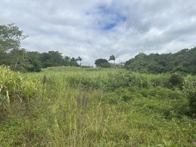 Beach Lot For Sale in Naalehu, Hawaii