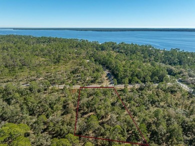 Beach Acreage For Sale in Ochlockonee Bay, Florida