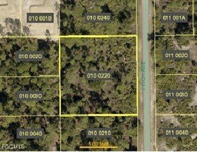 Beach Lot For Sale in Lehigh Acres, Florida