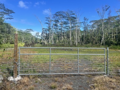 Beach Lot For Sale in Pahoa, Hawaii