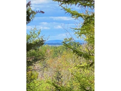 Beach Lot For Sale in Blue Hill, Maine
