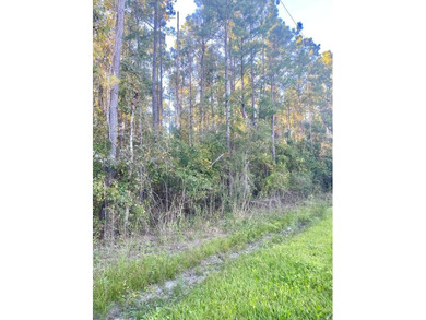 Beach Lot For Sale in Wewahitchka, Florida