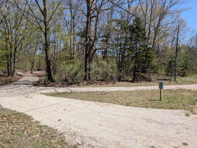 Beach Lot For Sale in Alden, Michigan