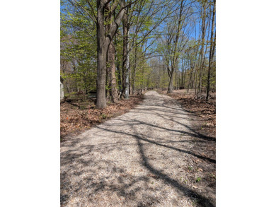 Beach Acreage For Sale in Alden, Michigan