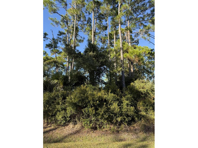 Beach Lot For Sale in Port St Joe, Florida