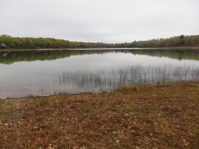 Beach Lot Sale Pending in Free Soil, Michigan