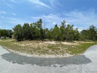 Beach Lot For Sale in Homosassa, Florida