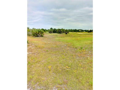 Beach Lot Off Market in Placida, Florida