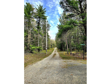 Beach Acreage For Sale in Pentwater, Michigan