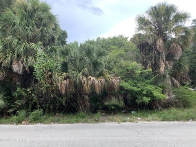 Beach Lot Sale Pending in Daytona Beach, Florida