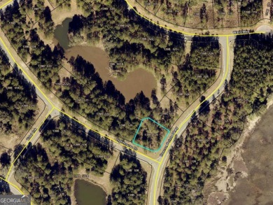 Beach Lot For Sale in Waverly, Georgia