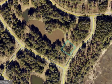 Beach Lot For Sale in Waverly, Georgia