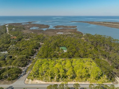 Beach Lot For Sale in St. George Island, Florida