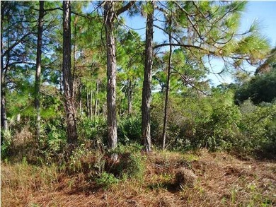 Beach Lot For Sale in St. George Island, Florida