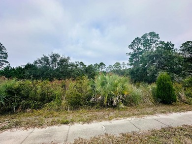 Beach Lot For Sale in Carabelle, Florida