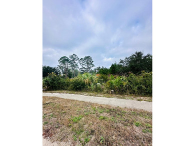 Beach Lot For Sale in Carabelle, Florida