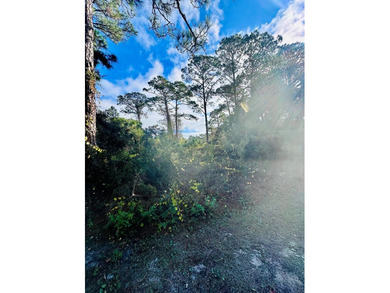 Beach Lot For Sale in Carabelle, Florida