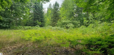 Beach Lot Sale Pending in Kewadin, Michigan