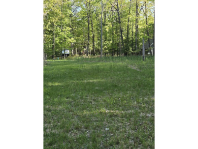 Beach Lot For Sale in Pentwater, Michigan